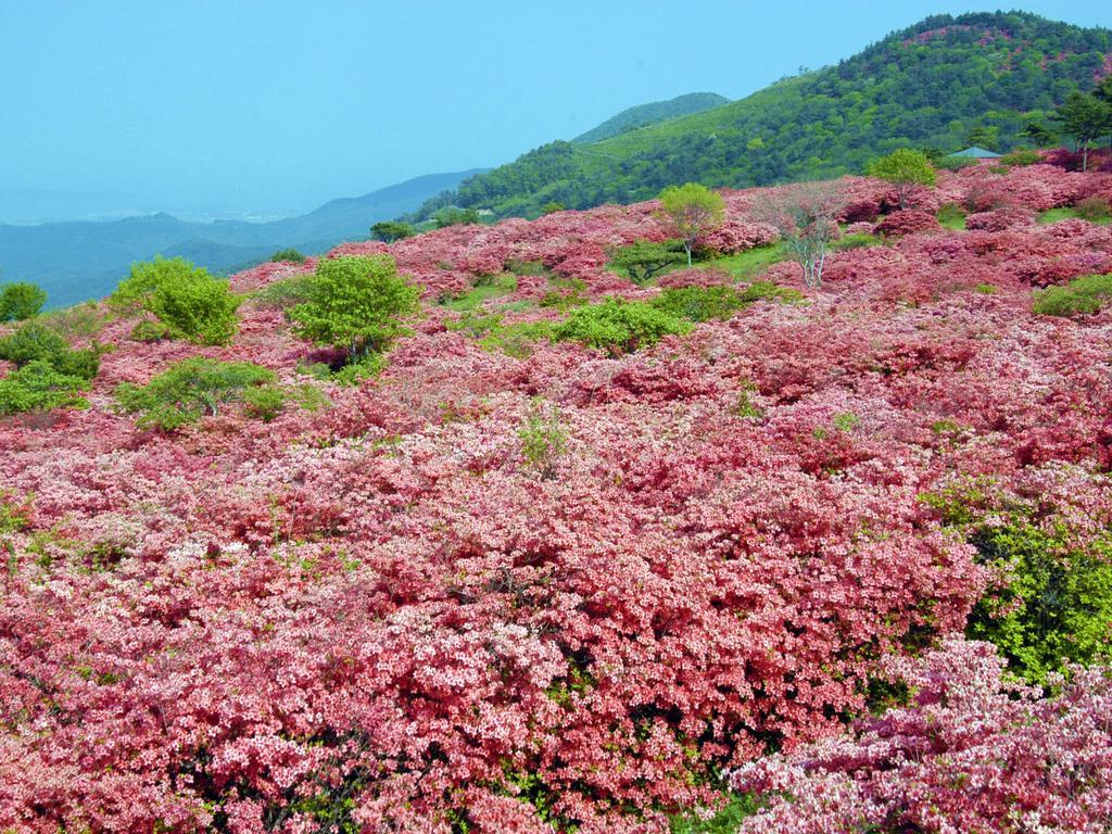 Hotel Pearl City Kesennuma Dış mekan fotoğraf